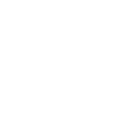 256x256 White Alarm Clock Icon