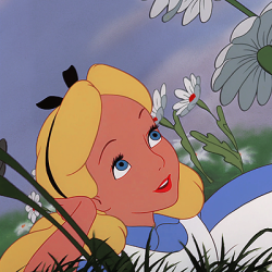 250x250 Icons Alice In Wonderland Tumblr