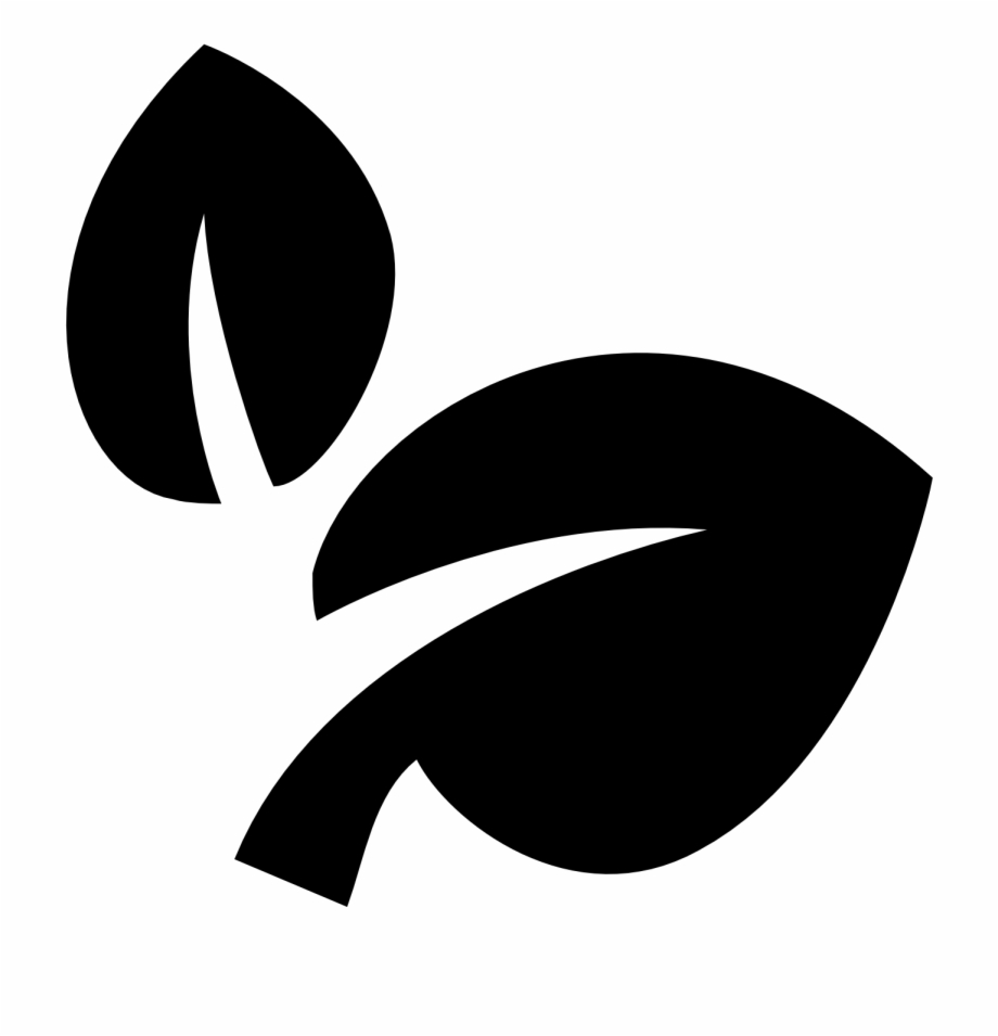 920x955 Natural Food Icons