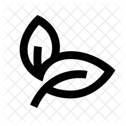 256x256 Natural Food Icon Of Line Style