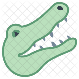 256x256 Alligator Icon Of Colored Outline Style