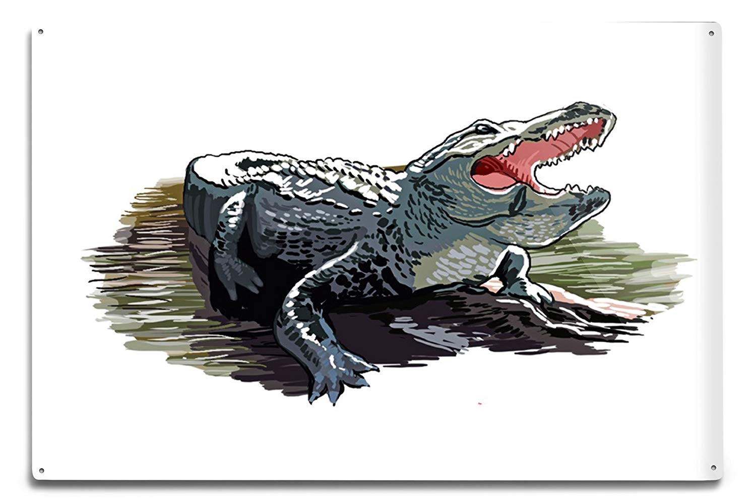 1500x1000 Alligator