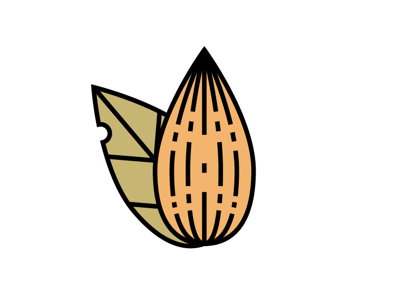 800x600 Almond Icon