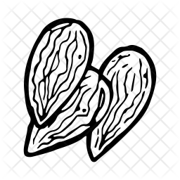 256x256 Almond Icon Of Doodle Style