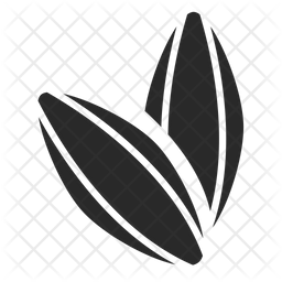 256x256 Almond Icon Of Glyph Style