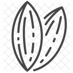 256x256 Almond Icon Of Line Style