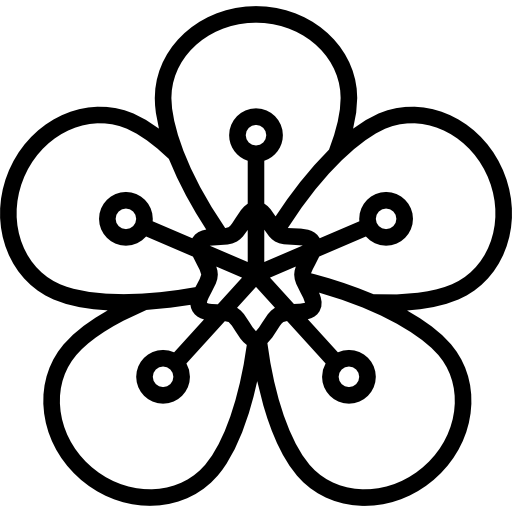 512x512 Almond Icons Free Download