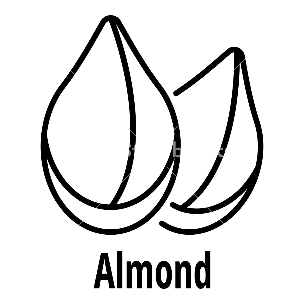1000x1000 Almond Icon Outline Almond Icon For Web Design Isolated On White