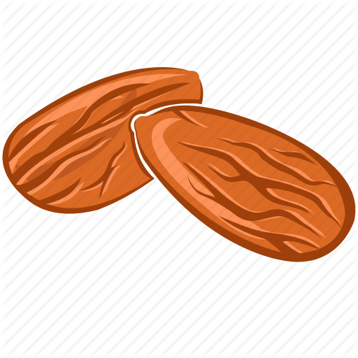 512x512 Almond, Dry Fruits, Dry Fruits Icon, Food, Nut Icon
