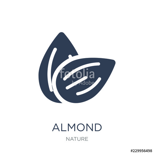 500x500 Almond Icon Trendy Flat Vector Almond Icon On White Background
