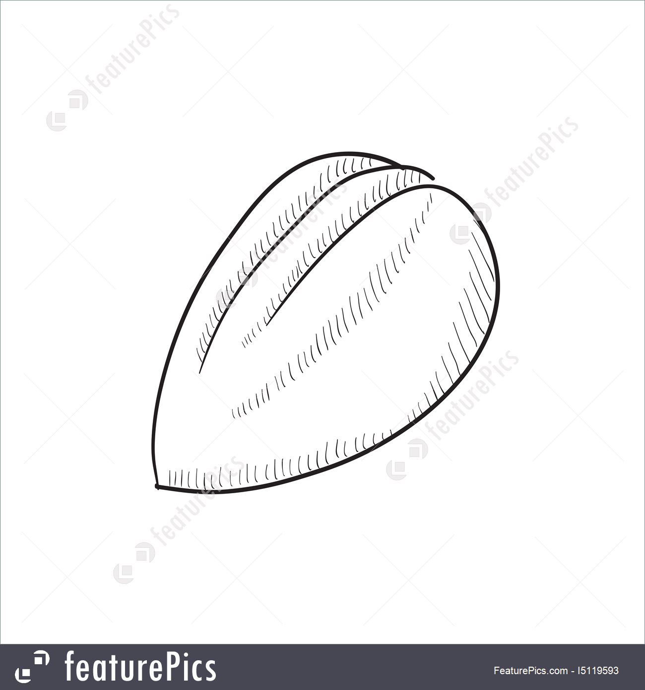 1300x1392 Illustration Of Almond Sketch Icon