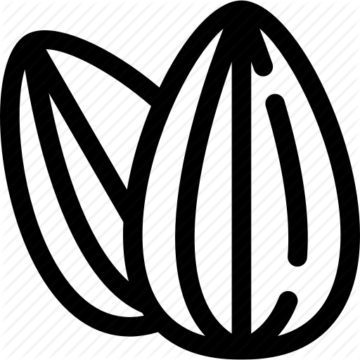 512x512 Almond, Food, Healthy, Nut, Snack Icon