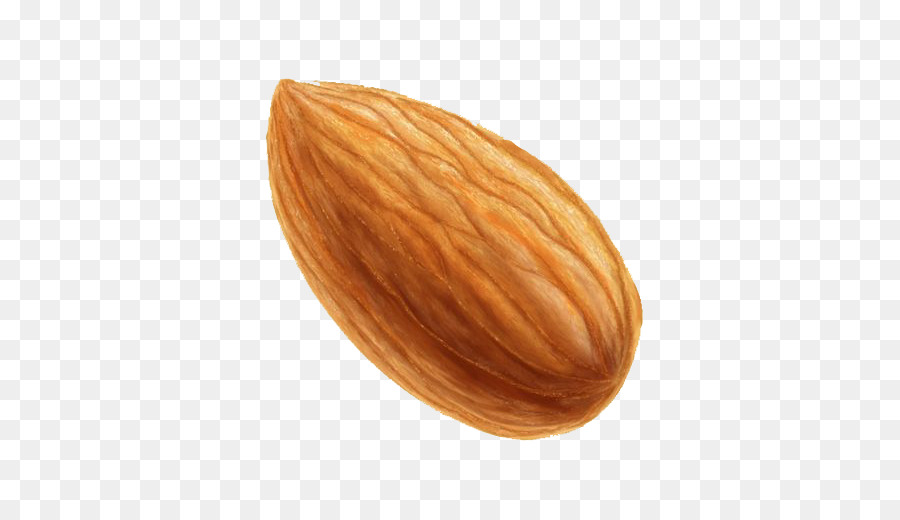 900x520 Nut Almond Icon