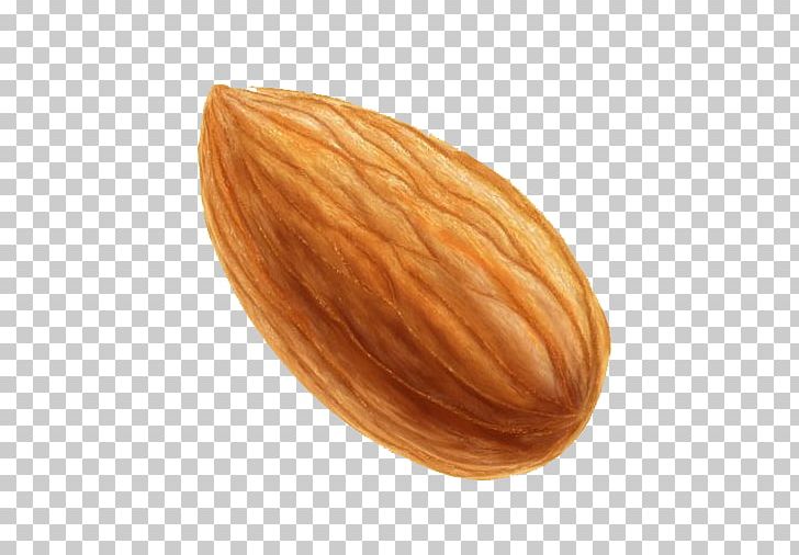 728x506 Nut Almond Icon Png, Clipart, Almond Free Png, Application
