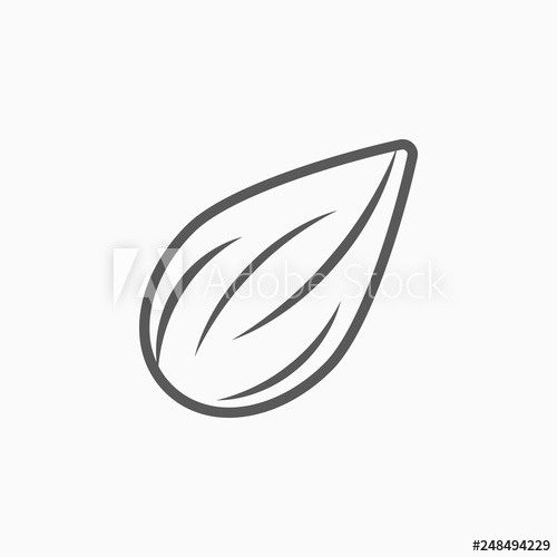 500x500 Almond Icon, Almond Vector