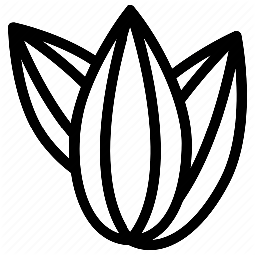 512x512 Almond, Food, Healthy Diet, Nut, Seed Icon