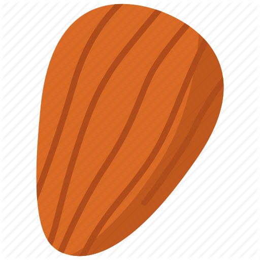 512x512 Almond, Food, Nut Icon