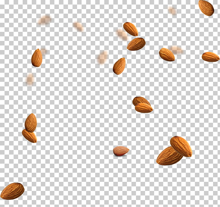 728x683 Almond Icon, Floating Material Almonds Png Clipart Free Cliparts