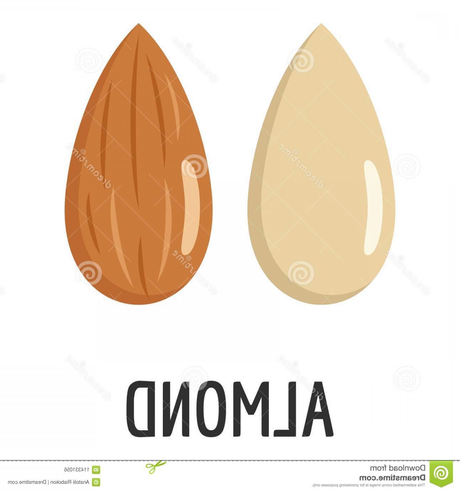 1560x1668 Almond Icon Flat Illustration Almond Vector Icon Web Almond Icon