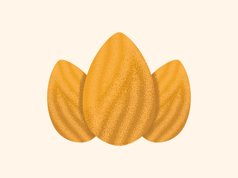 800x600 Almond Icon