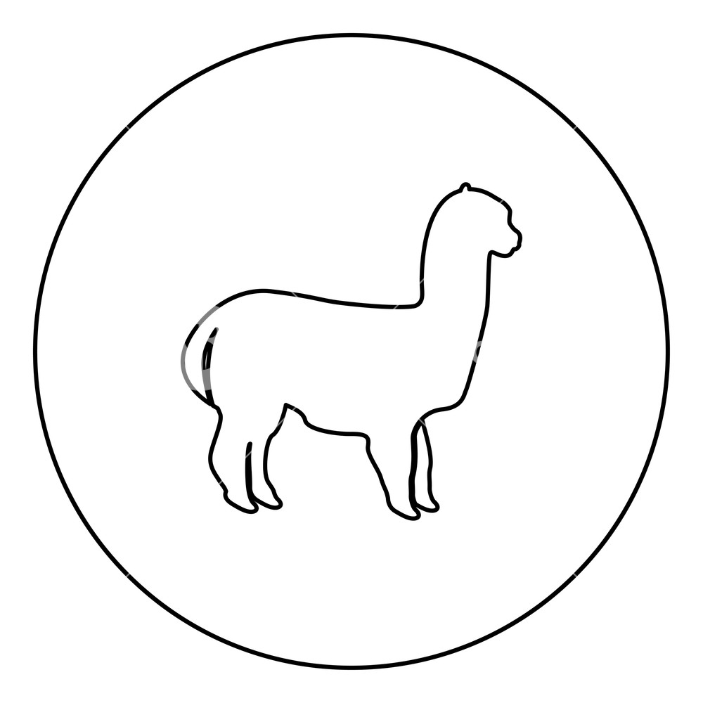 Alpaca Black Icon In Circle Outline Vector Illustration Isolated 1000x1000 Alpaca Black Icon In Circle Outline Vector Illustration Isolated