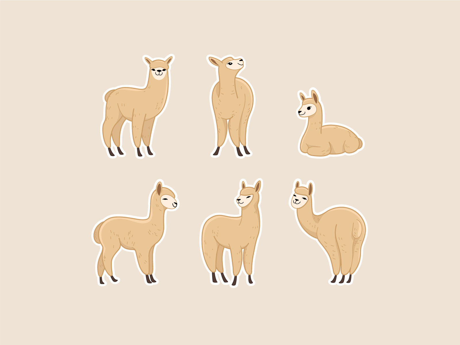 Cartoon Alpaca Character 1600x1200 Cartoon Alpaca Character