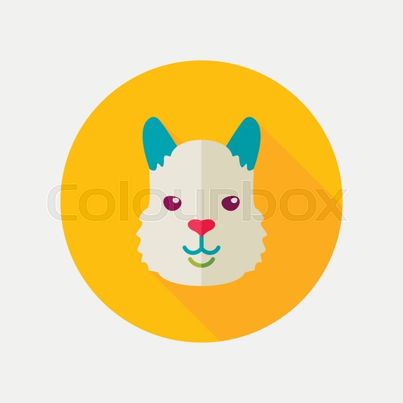Lama Alpaca Guanaco Flat Icon Animal Stock Vector Colourbox 800x800 Lama Alpaca Guanaco Flat Icon Animal Stock Vector Colourbox