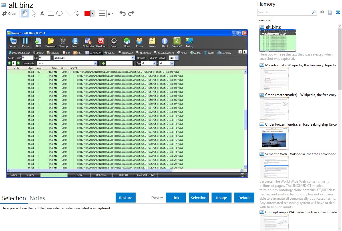 1198x811 Alt Binz Integration With Flamory