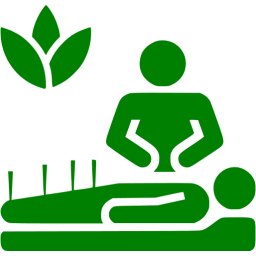 256x256 Green Alternative Medicine Icon