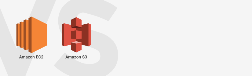 825x250 Amazon Vs Amazon When You Need What