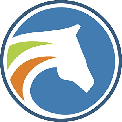 425x425 Multicolor Horse Silhouette Cartoon Logo Icon Vinyl