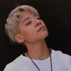 250x250 Amber Icons Tumblr