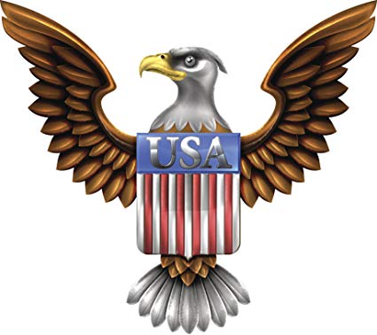 American Eagle Icon