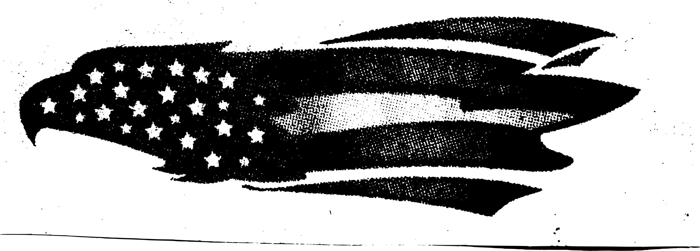 2366x849 An American Eagle Icons Png