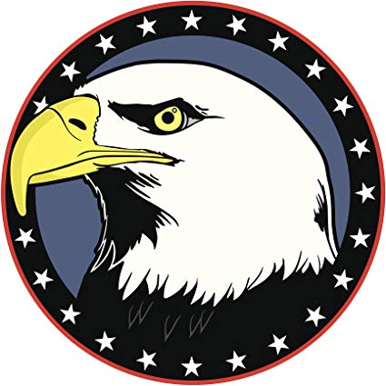 425x425 Majestic American Bald Eagle Icon Vinyl Decal Sticker