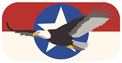 425x220 Patriotic American Bald Eagle Banner Icon Vinyl Decal