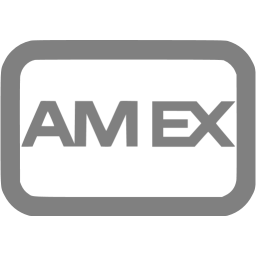 256x256 Gray Amex Icon