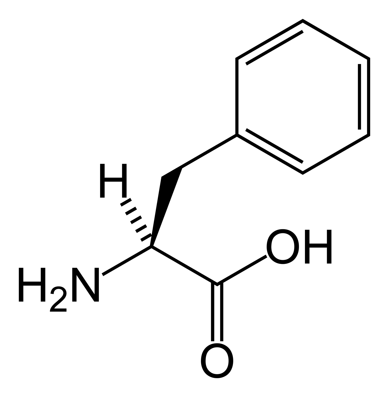 1551x1581 Aromatic Amino Acid