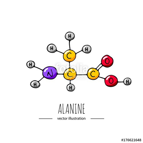 500x500 Hand Drawn Doodle Alanine Chemical Formula Icon Vector