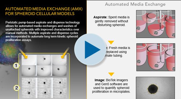 600x330 Automated Media Exchange