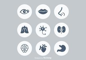 286x200 Human Heart Free Vector Art