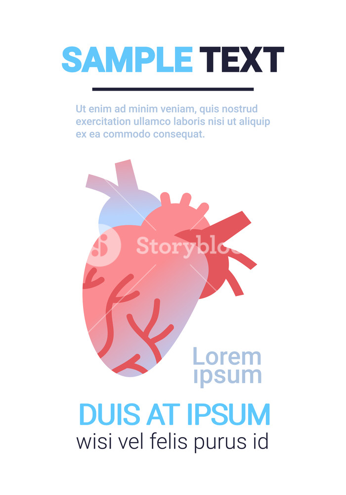 700x1000 Anatomical Heart Icon Human Body Organ Anatomy Healthcare Medical