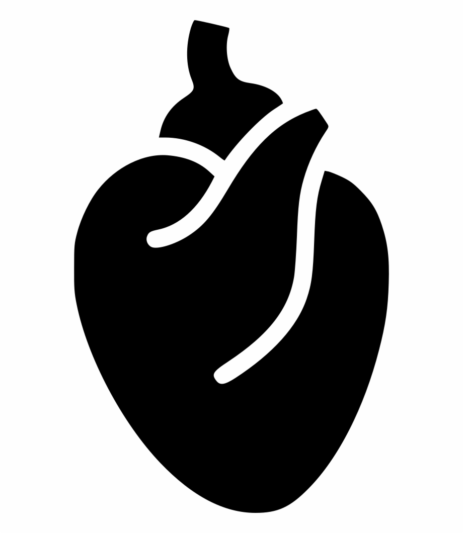 920x1060 Clipart Transparent Blood System Body Anatomy Png