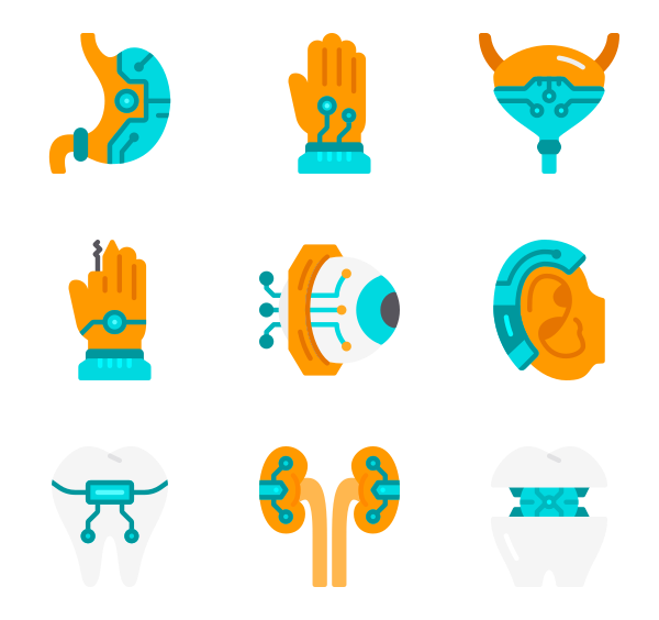 600x564 Anatomy Icon Packs