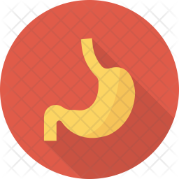 256x256 Anatomy Icon Of Flat Style