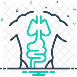 256x256 Anatomy Icon Of Line Style