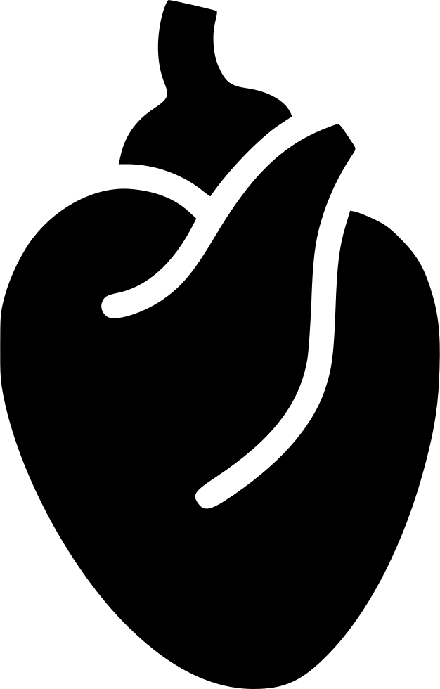 626x980 Heart Heart Muscle Blood System Body Anatomy Png Icon Free