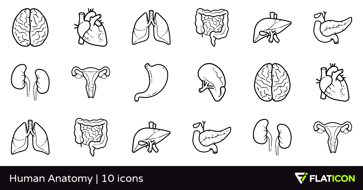 1200x630 Human Anatomy Free Icons