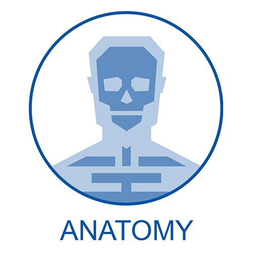 500x500 University Of Dundee