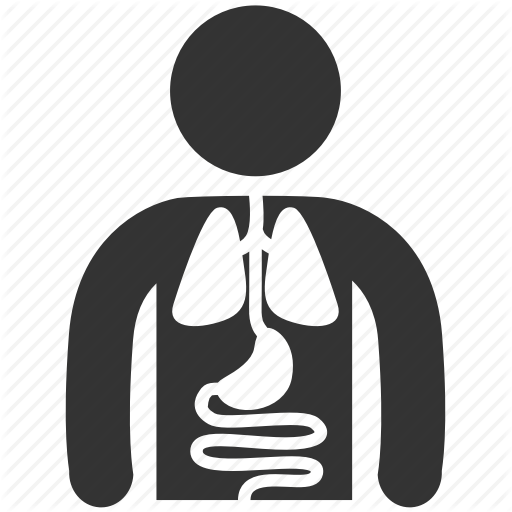 512x512 Anatomy, Body, Corpse, Entrails, Health, Offal, Surgery Icon